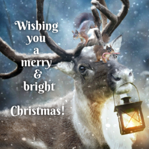 BookBrushImage 2021 12 24 18 4633
